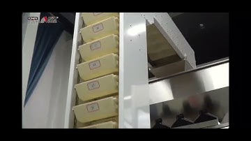 Deep Learning Based Sorting Machine For Dates Fruit#machine #factory #ai