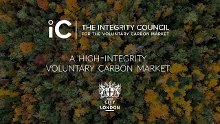 Integrity Council for Voluntary Carbon Markets Public Consultation - Call to Action