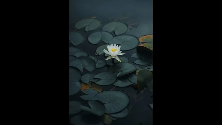 Eugene Blanchard - Full Lotus (Dance song)