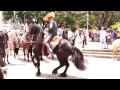 San Miguel Cuyutlán, Tierra de caballos 25 de julio 2014