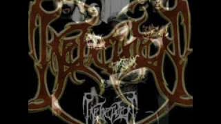 Beheaded - Recounts Of Disembodiment