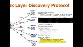Layer 2 Route Discovery