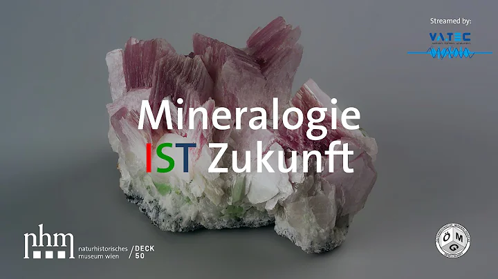 Mineralogie IST Zukunft - Podiumsdiskussio...  im Rahmen des Internationalen Jahres der Mineralogie