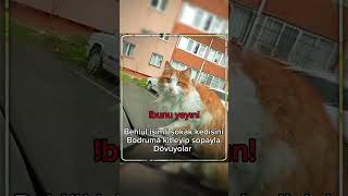 #hakhukukadalet #sokakkedileri #adalet #adaletinbumudünya