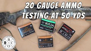 20 Ga. Turkey Ammo Pattern Testing at 50 yds | Apex #9s Ninja 8.5s or SmallTown Blend |
