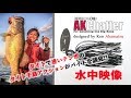 【水中映像】AKチャター 13g