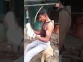 ✅Trend (Motivation) #shorts #workout #youtube #desi #gym