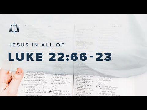  22 66 23 56    