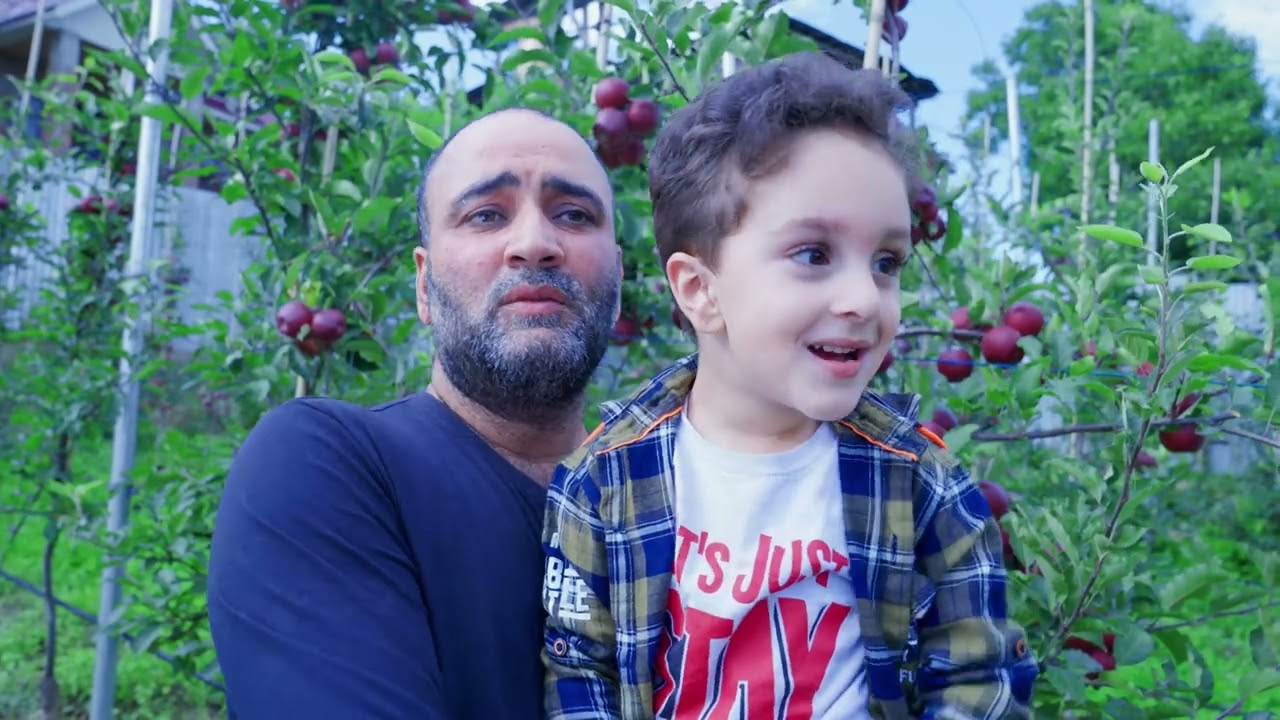 Care management and production of high density apples in kashmir