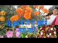 11 flowering plants grow from seeds in july vijaya s creative garden hindi urdu