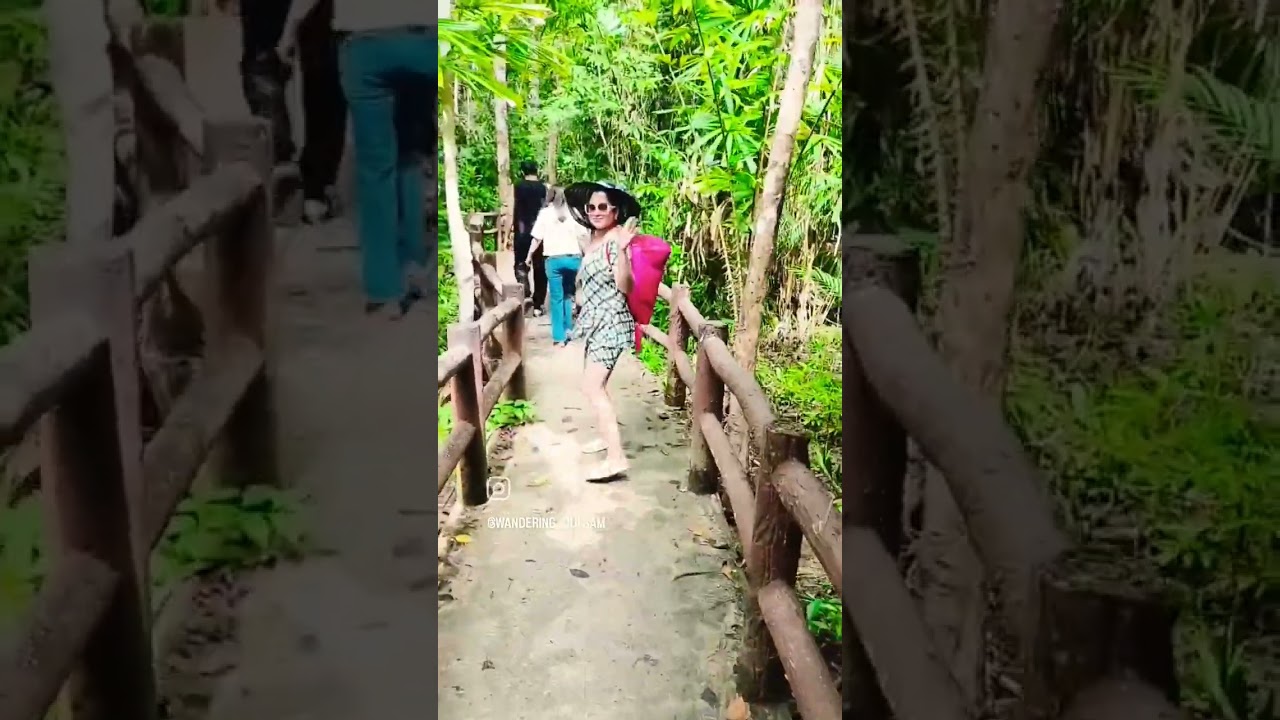 Therapeutic Nature Walk 