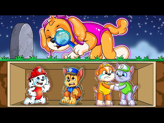 R.I.P All Friends - Skye Said Don't Please Come Back - Paw Patrol Ultimate Rescue - Rainbow 3 class=