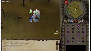 runescape 2005 version scape05 pking