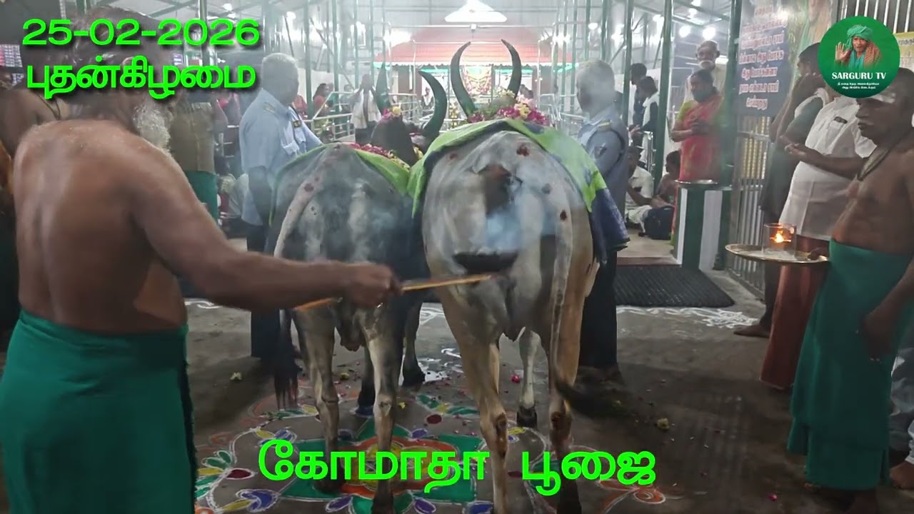 25/02/2026 புதன்கிழமை கோமாதா பூஜை