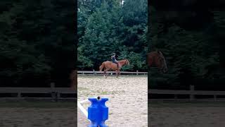 trotting Mac bareback!! (i know my position is horrible. this was my first time bareback on him)