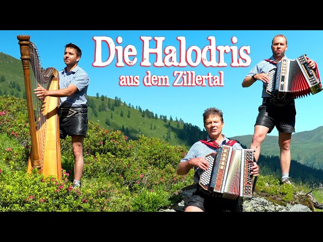 Halodris aus dem Zillertal - Alpen Echo