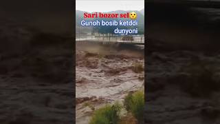  Dahshatli Suv Toshqini  Tabiatning Kuchli Qudrati nature mountains travel shorts uzbekistan