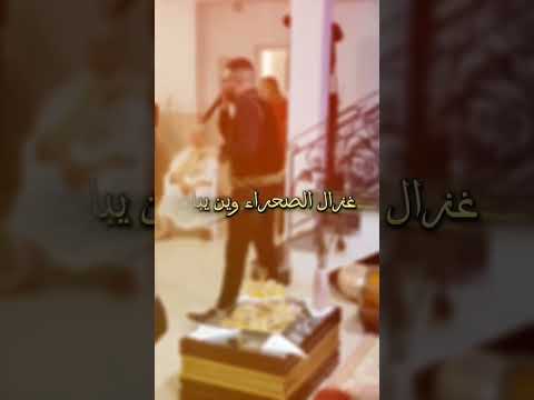 ريم الريمات Capcut Rai Staifi Funny اكسبلور Tunisia Malouf Live Tunisie Algerie