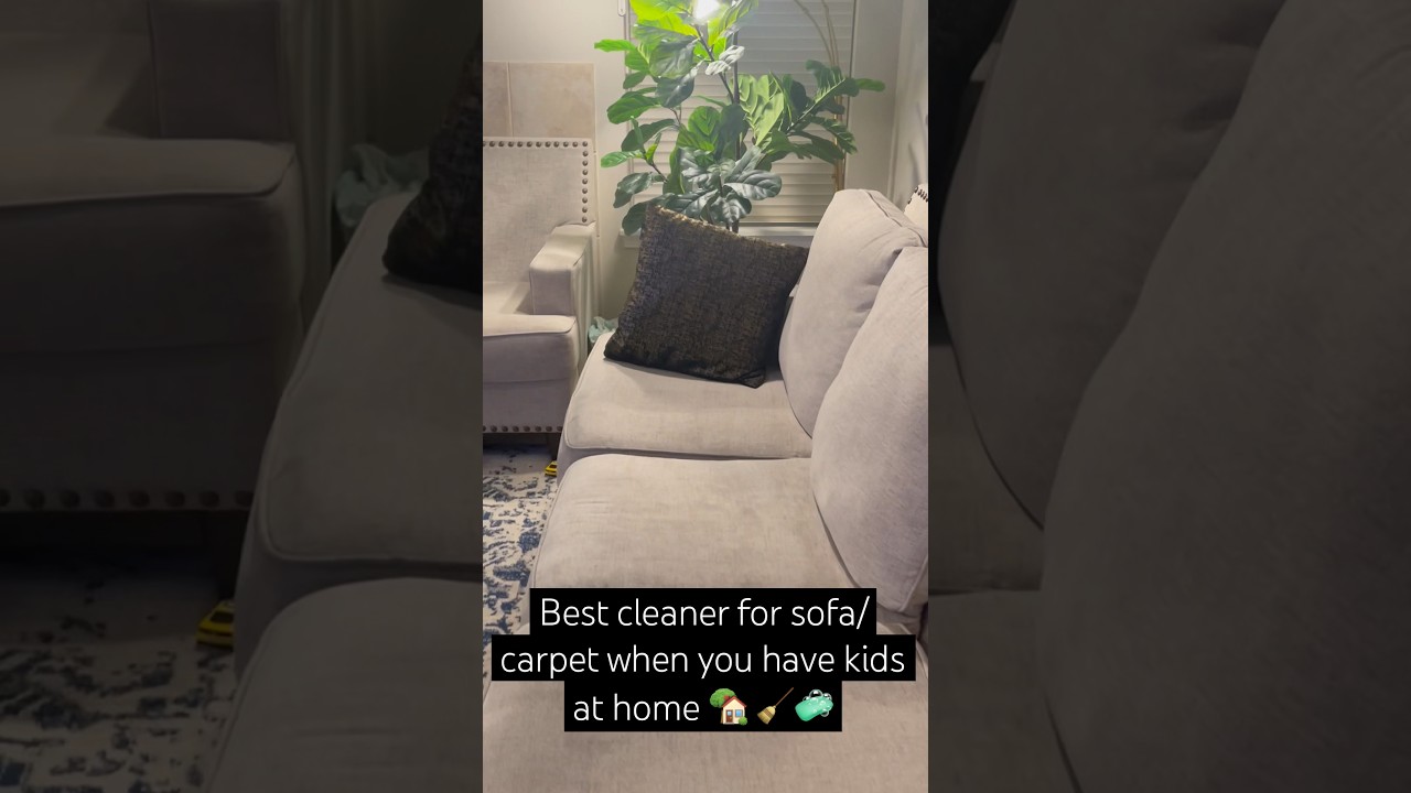 Hoover clean slate is all you need. 