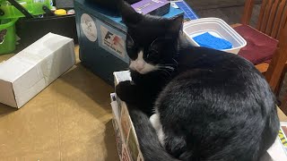 Some gifts from a friend and some more super cool goodies from VCG Resins by Reese