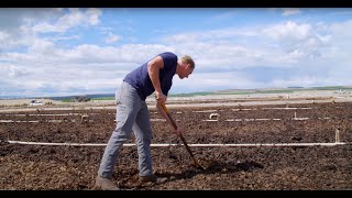 Innovating with Royal Dairy | Washington Grown