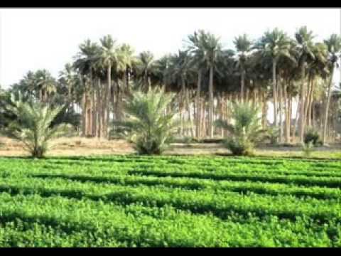 جعفر محمد مر بيا 