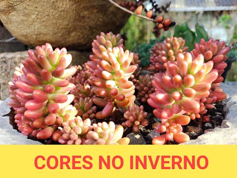CORES DO INVERNO
