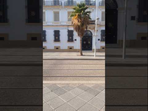 وسط مدينة سيدي بلعباس 