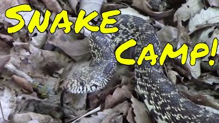 Camping with Snakes! | Heat Survival