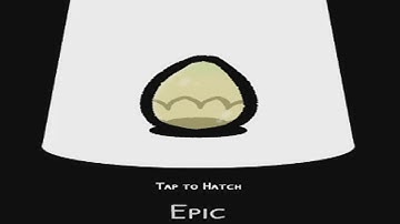 A Truly Inspiring Egg Hatching Moment | Cluster Duck