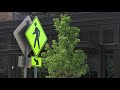 Pedestrian Advocacy Committee