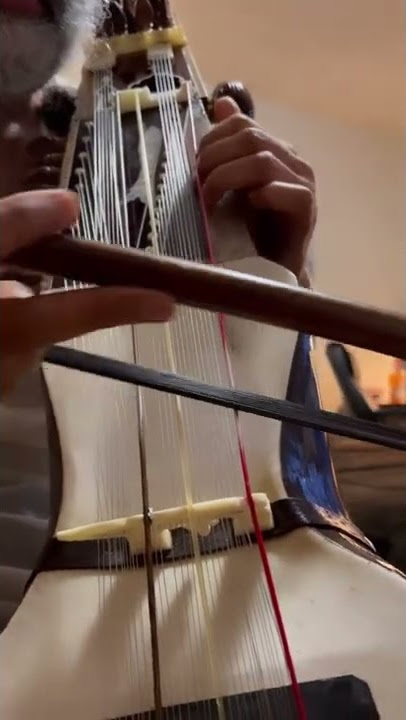 Sarangi #shorts #strings #indian #shorts #shortsvideo #shortsfeed #shortsindia #punjabi