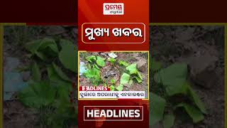 ସକାଳ ୧୦ଟାର ମୁଖ୍ୟ ଖବର #Headlines #HeadlinesToday #TopHeadlines #pramedigital