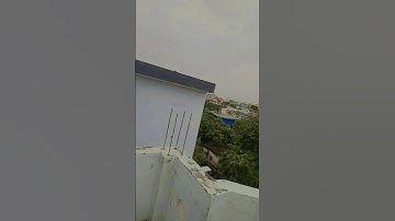 ❤️💐 #viral #video #trending #reels #youtubeshorts #shorts #video