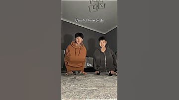 the bird trend is rocking the trend scene 🔥 #birdtrend #dance #funny