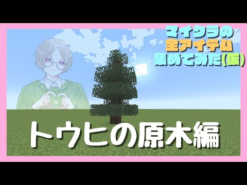 【マイクラ】この木なんの木？トウヒの原木編【企画名募集なう】