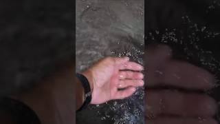 #israel#travel#telugu#vlog #trendingshorts#jerusalem #underground#water#churchofholysepulchre#shots