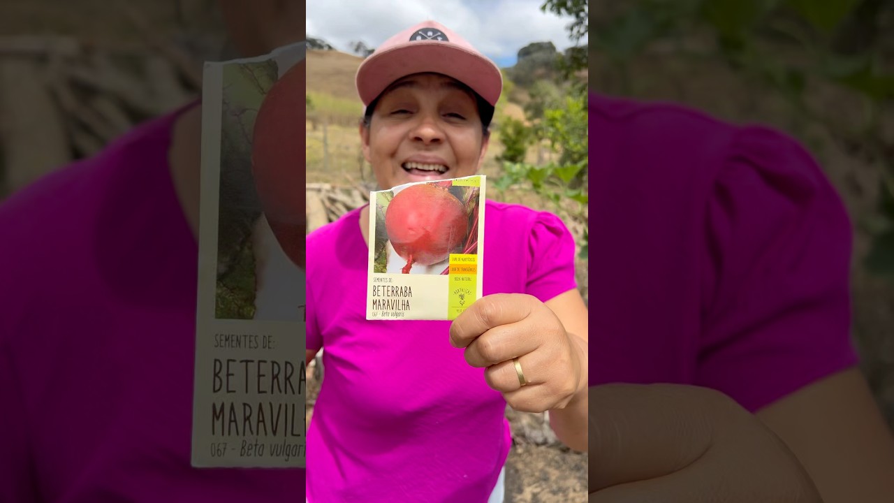 Três dicas de como plantar beterraba #plantas #horta#rural#agro