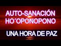 🎧 AUTO - SANACIÓN 🌻 HO´OPONOPONO  💝 UNA HORA de PAZ 🎶💝