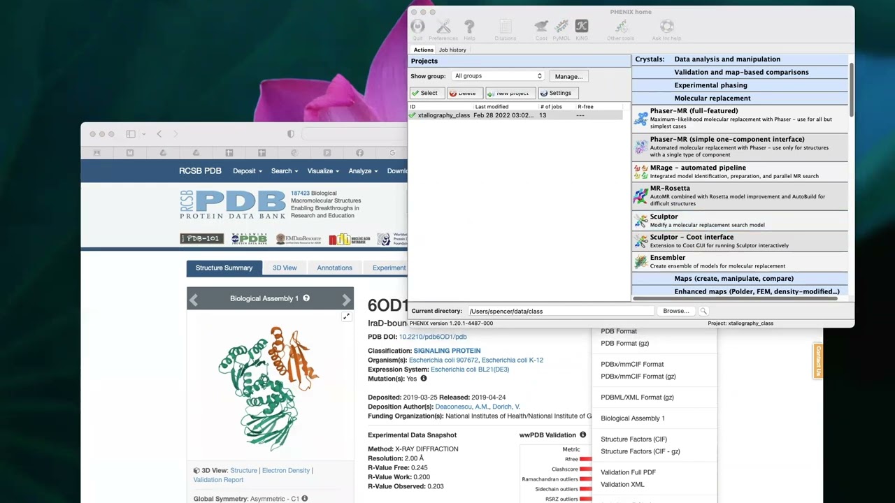 Make a Model for Molecular Replacement