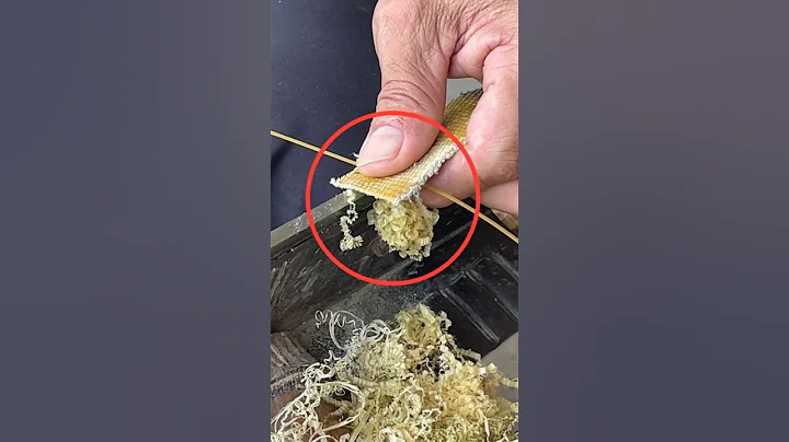 Mastering Bamboo Weaving: Satisfying Basket Crafting Techniques