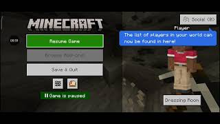 Minecraft but forever world, secret base