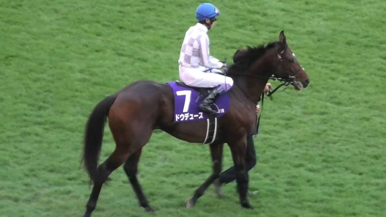 2024年天皇賞・秋ドウデュース本馬場入場、そしてベストターンドアウト