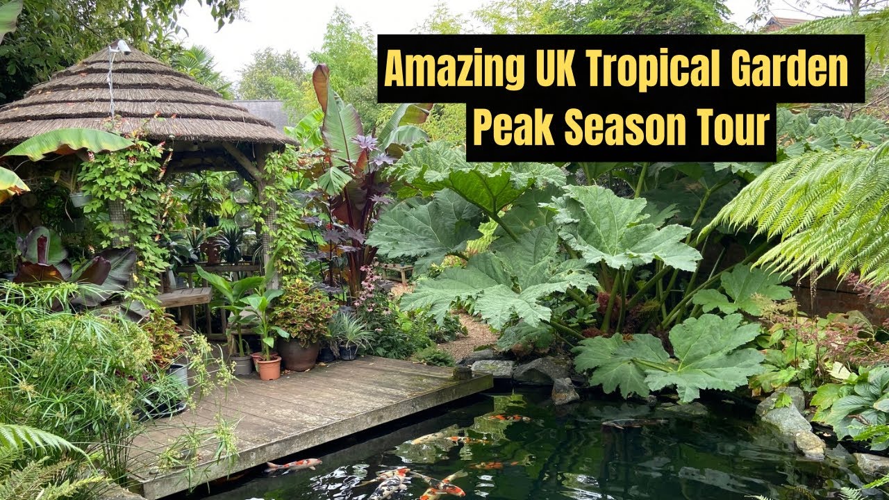Amazing U.K. Private Tropical Garden Peak Season Tour. Wow.