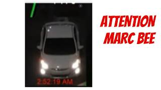 Attention Marc Bee - Please Have A Look At This?