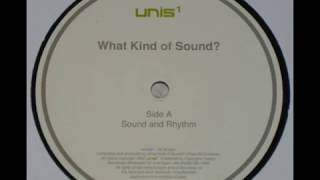 What Kind Of Sound? - Sound And Rhythm - Unis1 - 2002