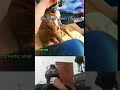 videos de risa de Lomito