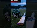 Tragic Loss: Teenage Australian Cricketer Dies After Being Hit by Ball 🏏