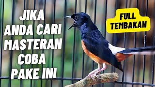 MASTERAN MURAI BATU FULL ISIAN TEMBAKAN PANJANG MATERI MEWAH KESUKAAN JURI