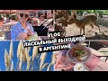 Влог из Аргентины | Экопарк и пасхальное воскресенье